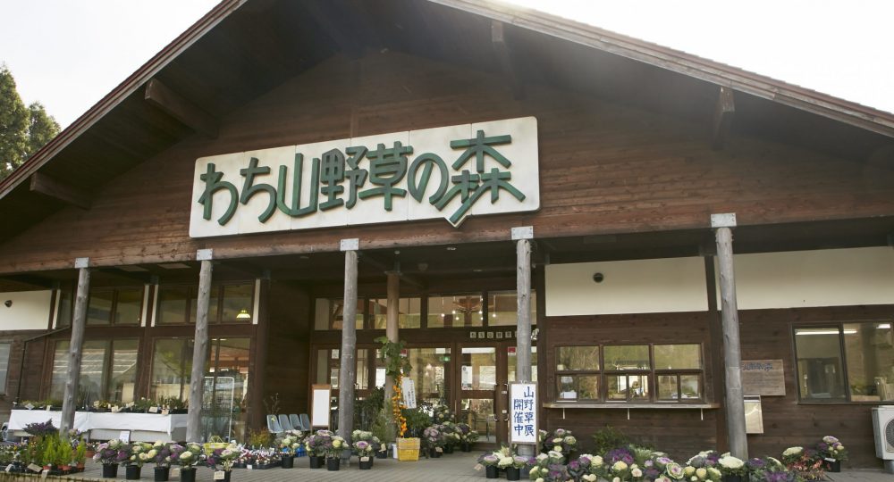 わち山野草の森 森の京都 京都の 森 総合案内サイト