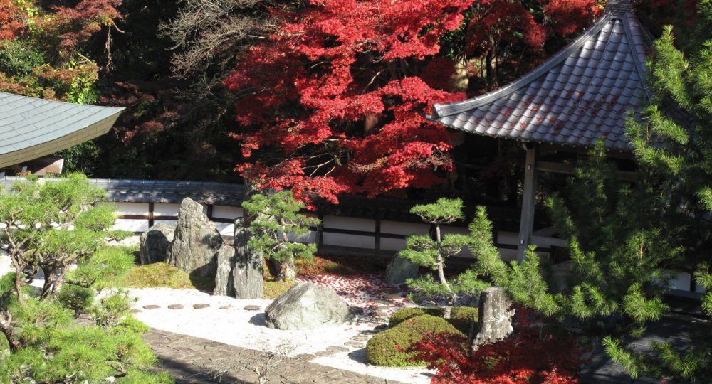 長安寺 もみじ寺 森の京都 京都の 森 総合案内サイト