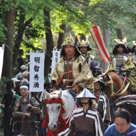 大井神社花まつり 森の京都 京都の 森 総合案内サイト