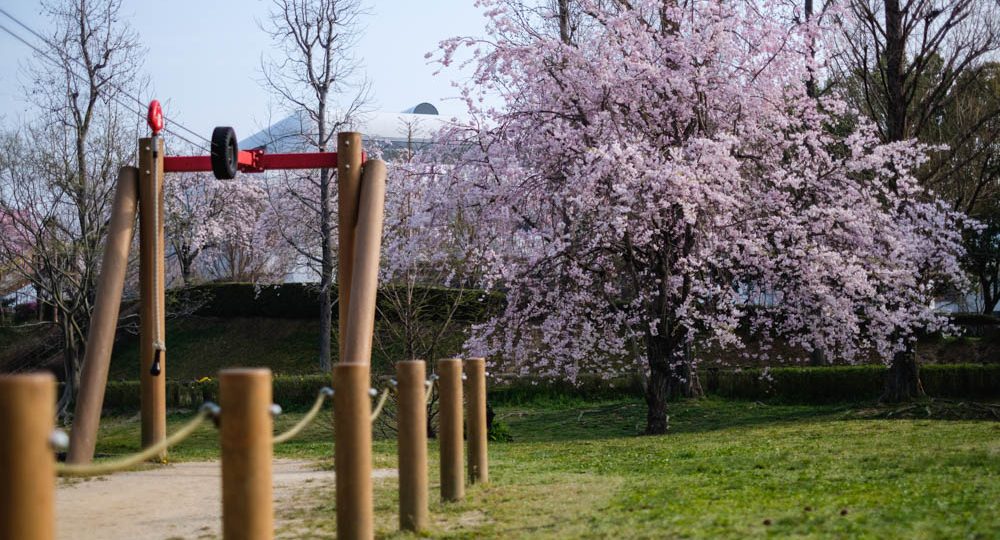 亀岡運動公園 森の京都 京都の 森 総合案内サイト