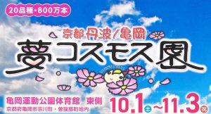 夢コスモス園 10/1（土）オープン！