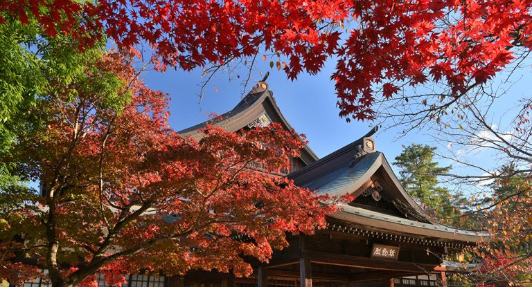 秋のフォトジェニック・ドライブ へようこそ！ ～アートと自然が息づく旅：京都綾部のフォトスポット巡り～
