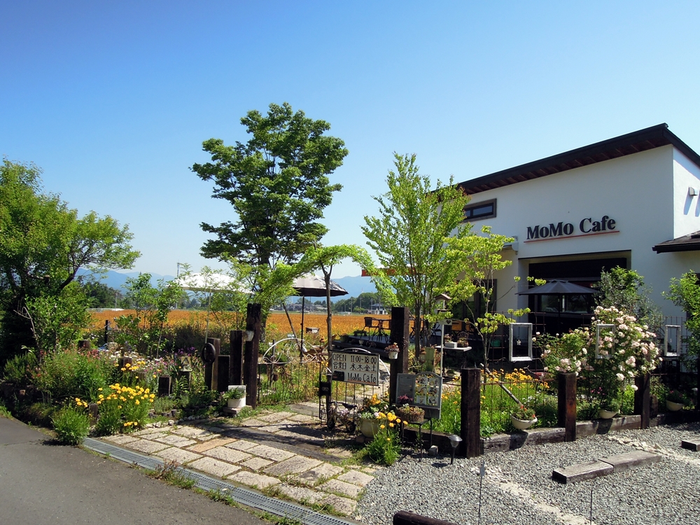 Momo Cafe 食べる 森の京都 京都の 森 総合案内サイト