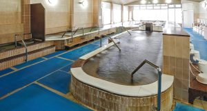 ニコニコプラザ (ニコニコ温泉)