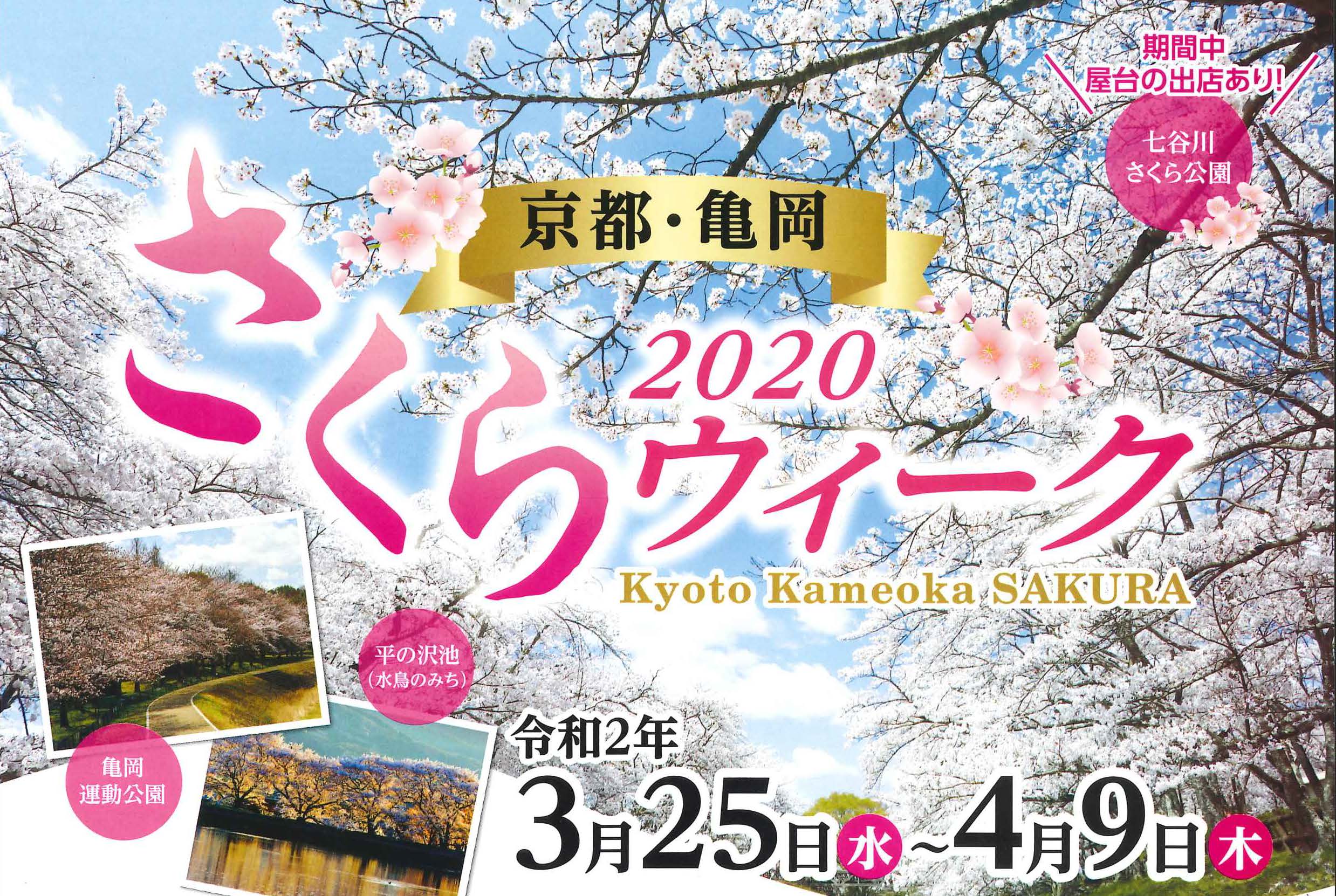 2020 京都・亀岡 さくらウィーク
