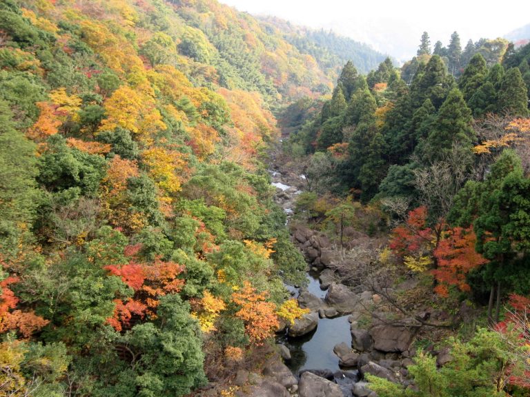 二瀬川渓流一帯の紅葉