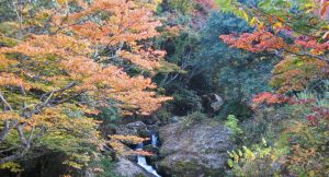 るり渓谷一帯の紅葉
