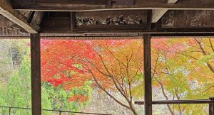 大原神社の紅葉