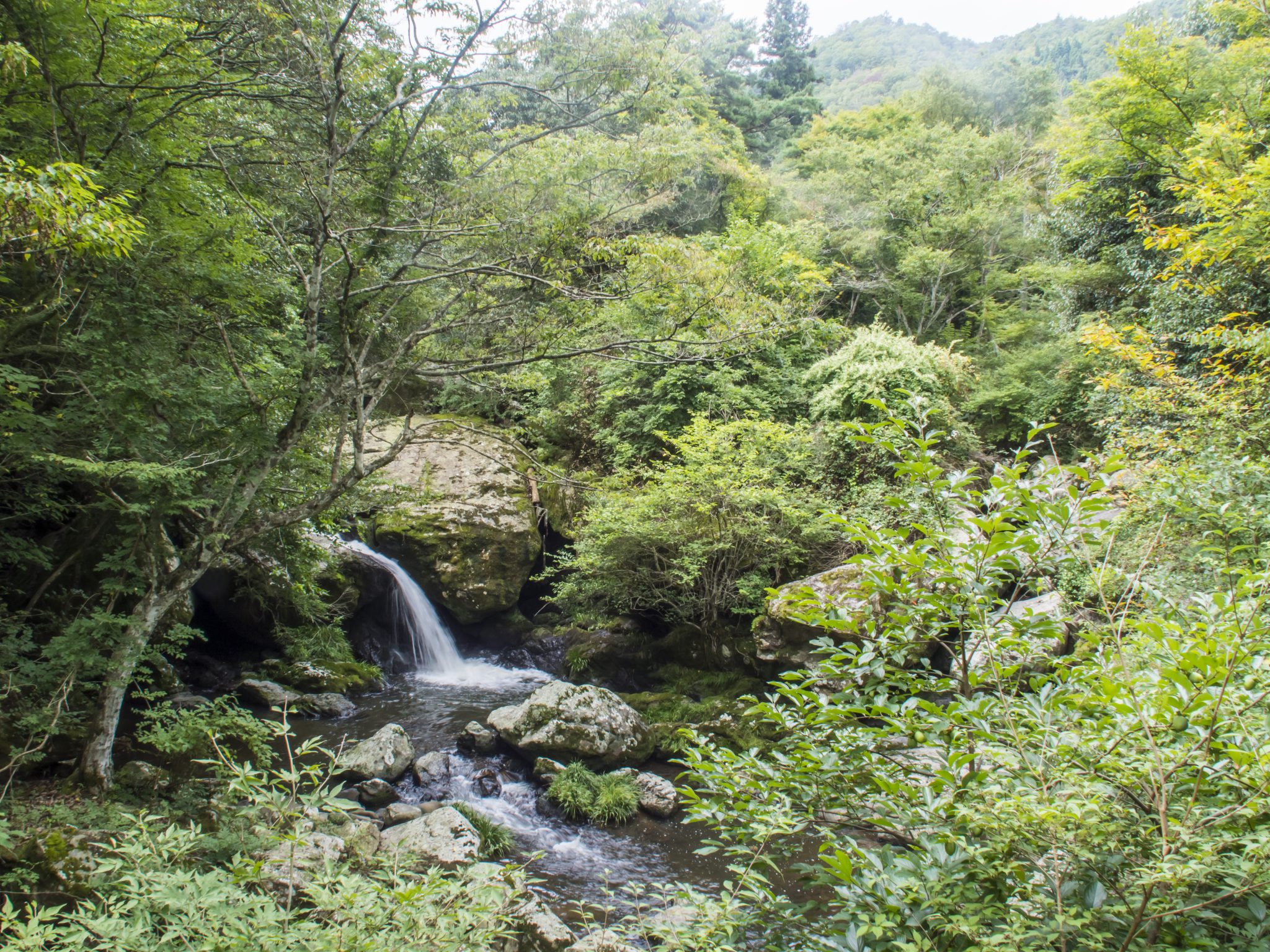 京都府立るり渓自然公園