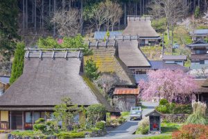 《京都駅発着日帰りツアー》美山かやぶきの里散策＆森のおさんぽプラン