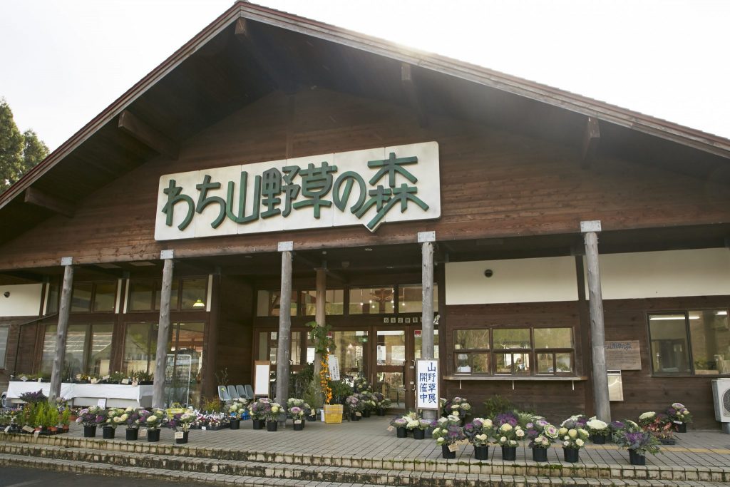 わち山野草の森