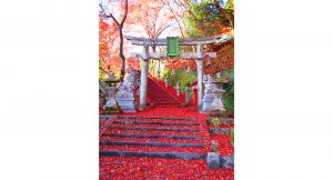 桑田神社の紅葉
