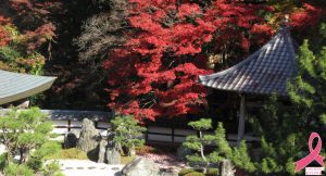 「ピンクリボン京都2021」に森の京都エリアからも参加します！