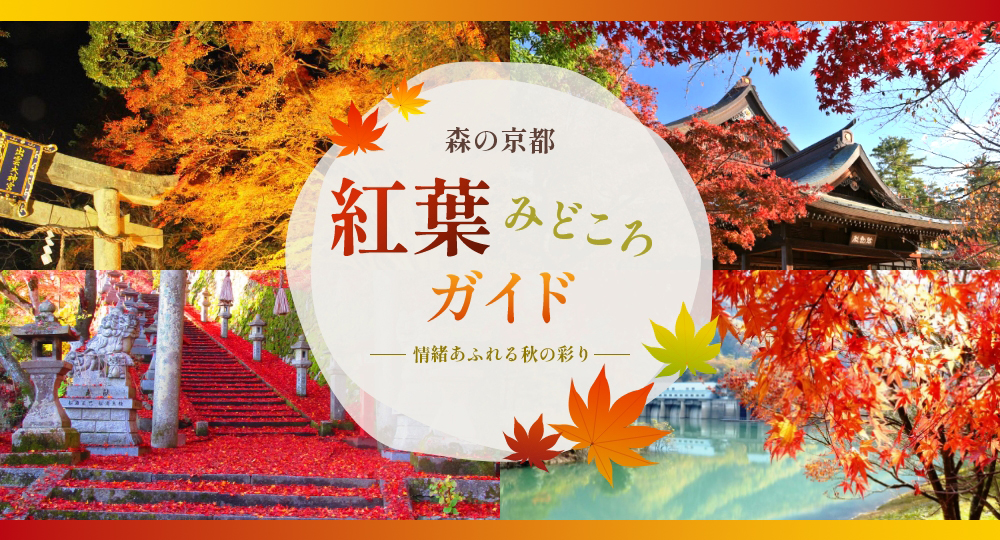森の京都の紅葉スポット