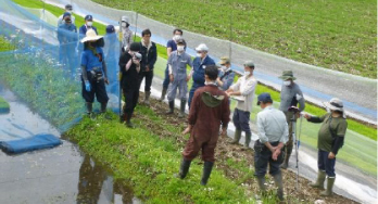 有機農業を推進する亀岡市で「有機農業でのお米づくり勉強会」開催！