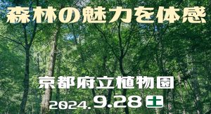 9/28(土) 府立植物園で「森林の魅力を体感」しよう！