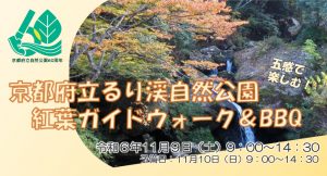 11/9(土) るり渓自然公園 紅葉ガイドウォーク＆BBQ