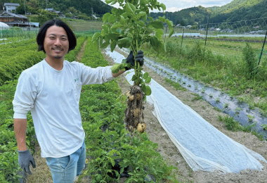 京都カノア有機農園直売所