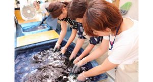 京都ほづ藍工房