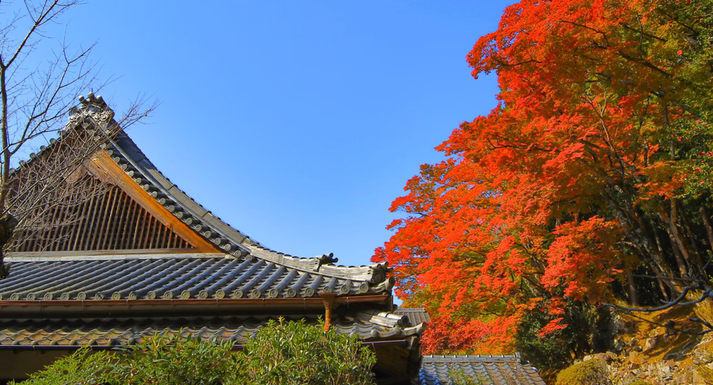 法常寺