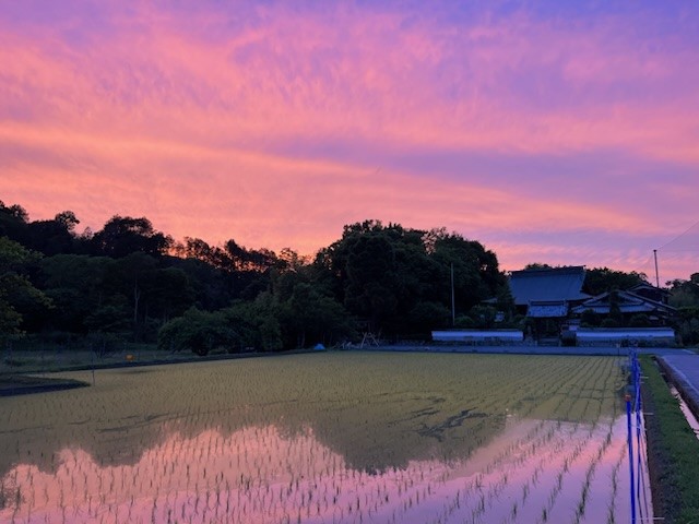 曹洞宗 真福寺