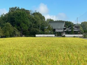 曹洞宗 真福寺
