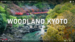 構成庭園のPR動画アップロードについて