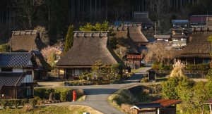 ライブカメラで現在の様子をチェック！