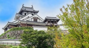 ライブカメラで現在の様子をチェック！