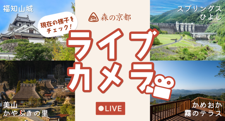 ライブカメラで現在の様子をチェック！