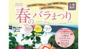 綾部バラ園「春のバラまつり2025」開催について