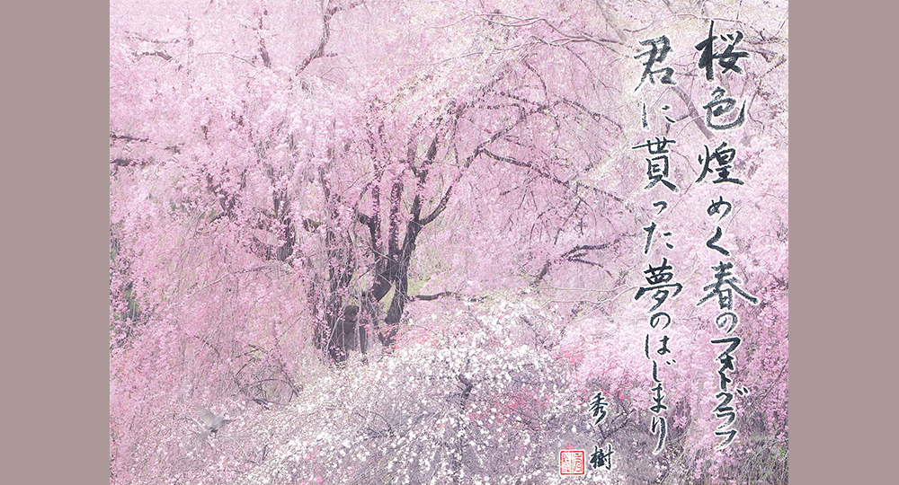 丹後和紙MEETSアート『山口秀樹×片岡司 二人展』4/5-6/1